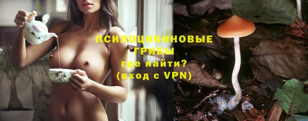 крисы Баксан