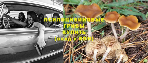 spice Балахна