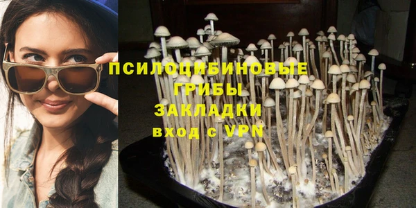 крисы Баксан