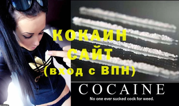 крисы Баксан
