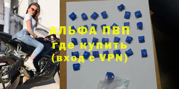 крисы Баксан
